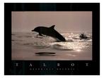 Talbot - poster encadré Dauphins, Comme neuf