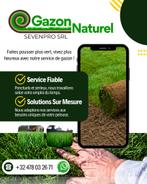 Gazon Naturel - Rouleau, Tuin en Terras, Verzenden, Nieuw, 20 m² of meer, Gras