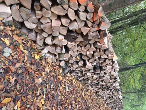 bois de chauffage, Tuin en Terras, Brandhout, Blokken, Verzenden