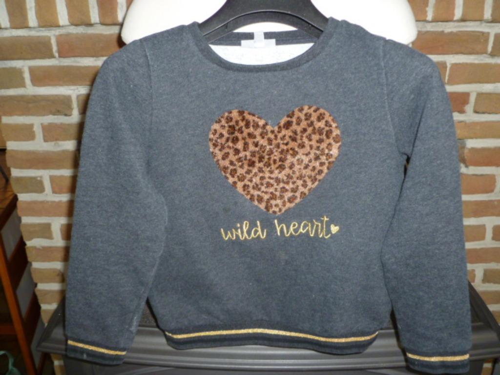 Winter trui meisje, JBC, maat 122, Kinderen en Baby's, Kinderkleding | Maat 122, Ophalen of Verzenden, Zo goed als nieuw, JBC.