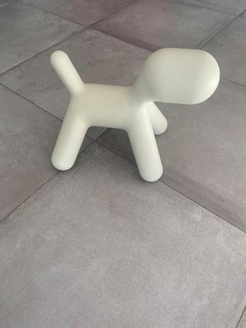 Chien blanc beschikbaar voor biedingen