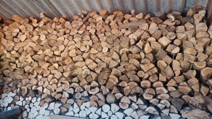 Brandhout eik droog te koop, Tuin en Terras, Brandhout, Ophalen