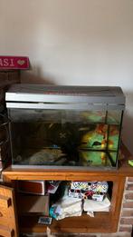 6 aquaria te koop groot en klein + chicliden, Enlèvement, Comme neuf