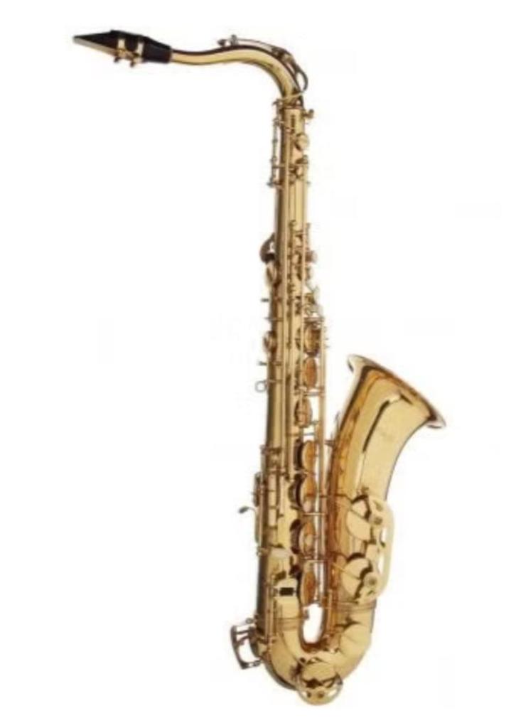 tenorsaxofoon stagg, Muziek en Instrumenten, Blaasinstrumenten | Saxofoons, Nieuw, Tenor, Met koffer, Ophalen