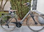Damesfiets, meisjesfiets, Fietsen en Brommers, Ophalen