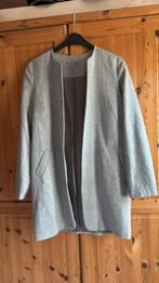 Grijze jas large, Kleding | Dames, Jassen | Zomer, Ophalen of Verzenden, Zo goed als nieuw