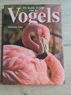 Boek : De bonte wereld  Vogels / Malcolm Ellis, Livres, Nature, Enlèvement ou Envoi, Oiseaux
