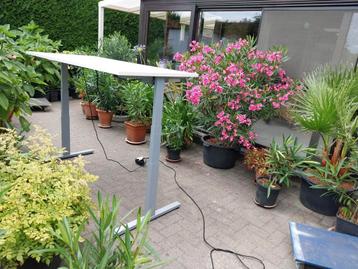 Elektrische zit-sta bureaus  beschikbaar voor biedingen