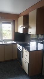 Een kompleet marmer keuken voor 250 euro, Ophalen
