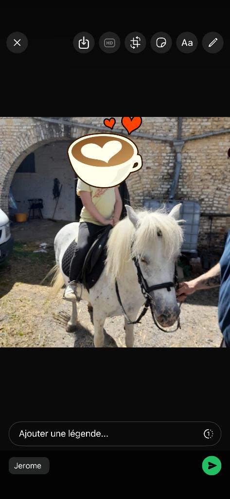 Poney, Animaux & Accessoires, Vermifugé, Poney C (1.27 m à 1.37m), Poney d'attelage, Débourré