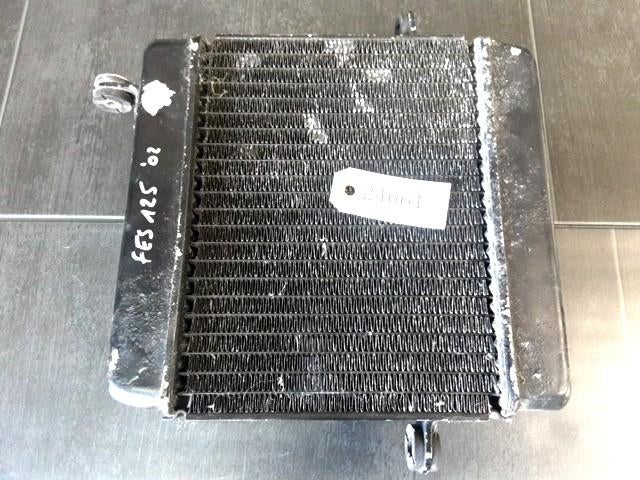 FES125 Pantheon 1997 - 2006 Honda Radiator D1-55824, Motos, Pièces | Honda