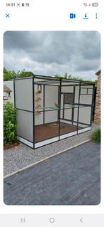 À la recherche d'une volière abordable, Enlèvement