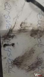 Peugeot 307 versnellingsbak, -, -, Enlèvement, Utilisé