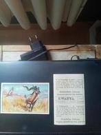 Prentjes  Kwatta  (Chasse - jacht ), Ophalen of Verzenden