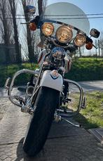 Harley Davidson FLSTS ( FXST), Motos, Permis Moto A, Tourisme, Plus de 35 kW, 2 cylindres