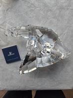 Ours polaire, Collections, Enlèvement