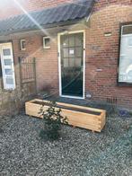 Grande jardinière en bois 180x40x36 (176) cm!, Neuf, 100 cm ou plus, Rectangulaire, Balcon