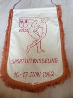 Stad Aalst vlag 1962, Divers, Drapeaux & Banderoles, Enlèvement ou Envoi