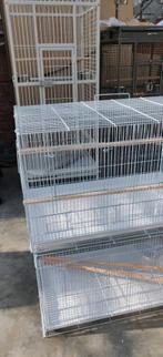 CAGES D'ÉLEVAGE PAR 40 PIÈCES 1000€, Enlèvement