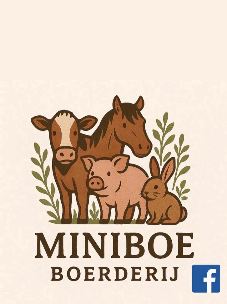 Gezocht konijntjes, Dieren en Toebehoren, Konijnen