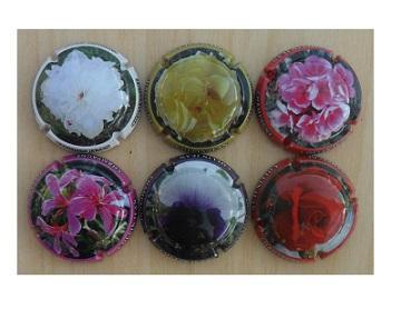 Champagne capsules - Collin J 20 Fleurs (L 7731), Verzamelen, Complete verzamelingen en Collecties, Verzenden