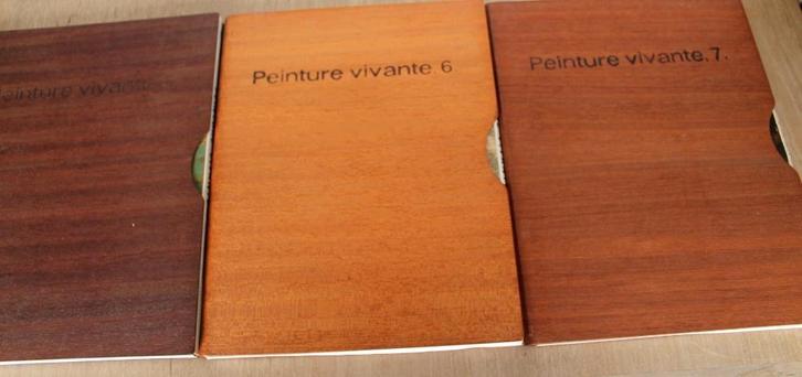 Peinture Vivante 5-6-7, verzamelbundels Cultura BXL, 67-70, Boeken, Kunst en Cultuur | Beeldend, Zo goed als nieuw, Schilder- en Tekenkunst