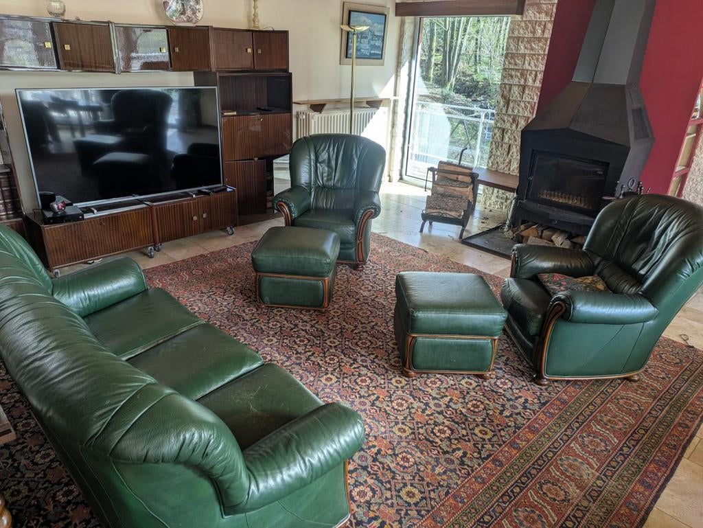 Salon cuir véritable vert 5 pièces - Canapé + 2 fauteuils +, Bois