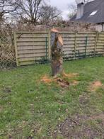 Kersen boom + takken, Ophalen, Takken