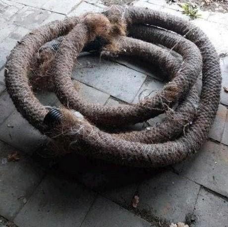 Intestin de drainage - environ 8 m, Enlèvement