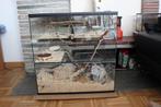 Terrarium knaagdieren, Enlèvement, Utilisé, Niche, Rat
