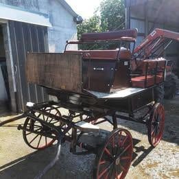 Calèche, Animaux & Accessoires, Utilisé, Autres types, Cheval