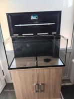 Te koop aquarium juwel primo met toebehoren en kast