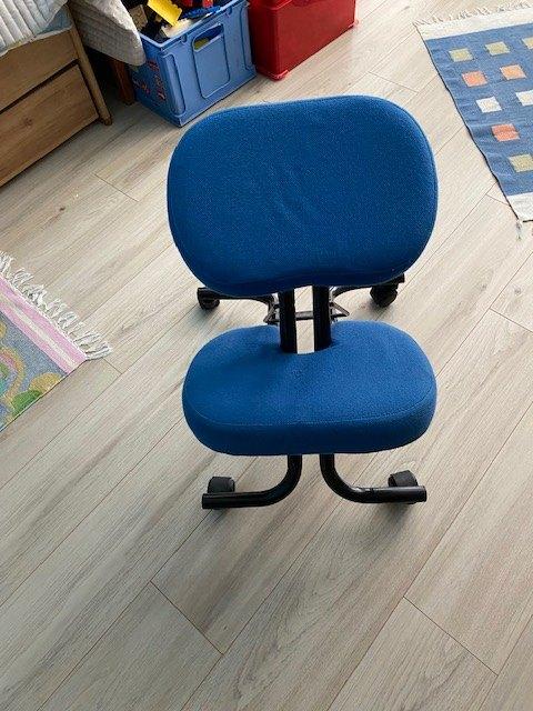 ergonomische stoel, Ophalen, Ergonomisch, Gebruikt, Blauw