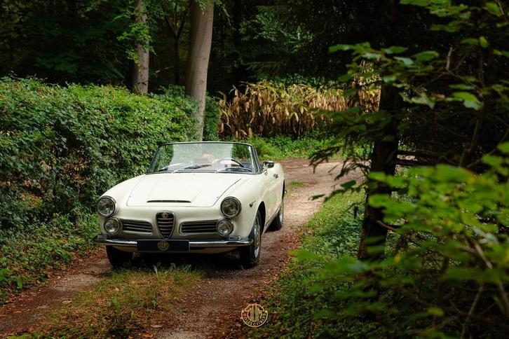 Alfa Romeo 2600 spider, Autos, Alfa Romeo, Essence, Cabriolet, Boîte manuelle, Blanc
