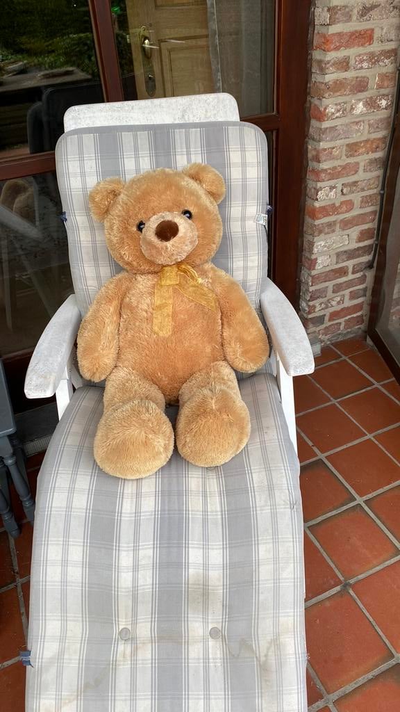 Grote beer, Verzamelen, Ophalen of Verzenden, Zo goed als nieuw