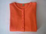 Wollen Vest United Colors of Benetton, Neuf, Enlèvement ou Envoi, Taille 36 (S), United Colors of Benetton