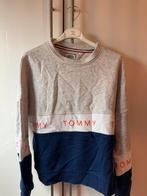 Tommy jeans trui maat xs, Vêtements | Femmes, Pulls & Gilets, Enlèvement ou Envoi, Porté, Taille 34 (XS) ou plus petite, Gris