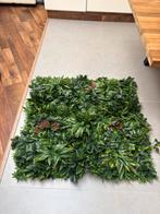 Plantenmuur (binnen) 7 matten van 1m2, Ophalen, Overige soorten