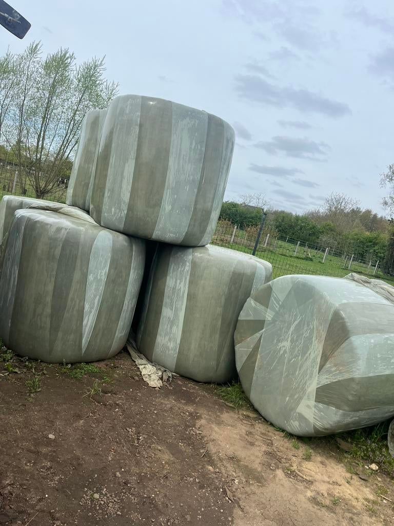 Pour foin sec, Enlèvement, Bétail