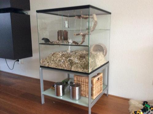 Terrarium op Maat voor Hamsters, Gerbils en Muizen, Dieren en Toebehoren, Knaagdieren en Konijnen | Hokken en Kooien, Nieuw, Hok