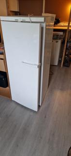 Miele defrost diepvries 145cm, Comme neuf, 140 à 160 cm, Classe énergétique A ou plus économe, 45 à 60 cm