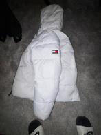 Veste Tommy, Vêtements | Hommes, Vestes | Hiver, Enlèvement