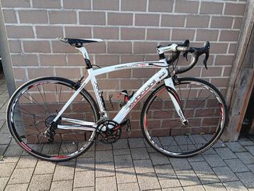 Dedacciai Assoluto rc, Autres marques, 49 à 53 cm, Enlèvement, Utilisé