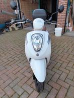 Sym Mio 115 cc, Motoren, Particulier