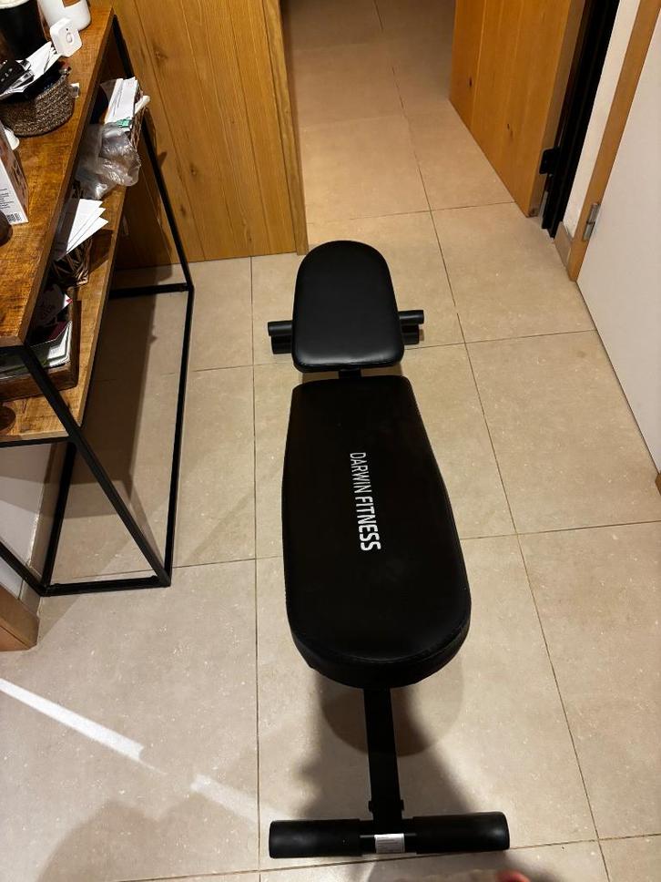Banc de musculation Darwin Fitness, Sports & Fitness, Équipement de fitness, Neuf, Banc d'exercice, Bras, Pectoraux, Abdominaux