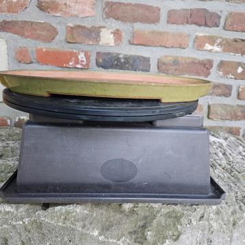 Bonsai schaal SEIZAN REIHOU beschikbaar voor biedingen