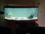 Juwel vision 450L aquarium, Dieren en Toebehoren, Ophalen, Zo goed als nieuw