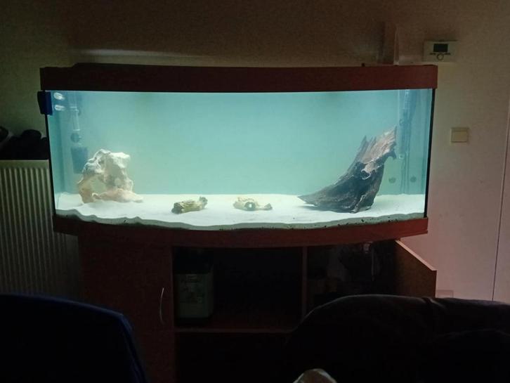Juwel vision 450L aquarium, Dieren en Toebehoren, Vissen | Aquaria en Toebehoren, Zo goed als nieuw, Ophalen