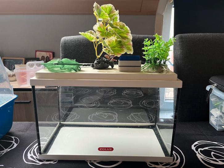 Aquarium en verre et plastique + fournitures, Animaux & Accessoires, Poissons | Aquariums & Accessoires, Utilisé, Enlèvement