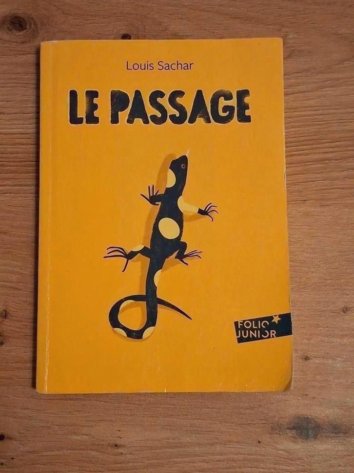 Boek The Passage van Louis Sachar, Boeken, Kinderboeken | Jeugd | 10 tot 12 jaar, Gelezen, Fictie, Ophalen of Verzenden